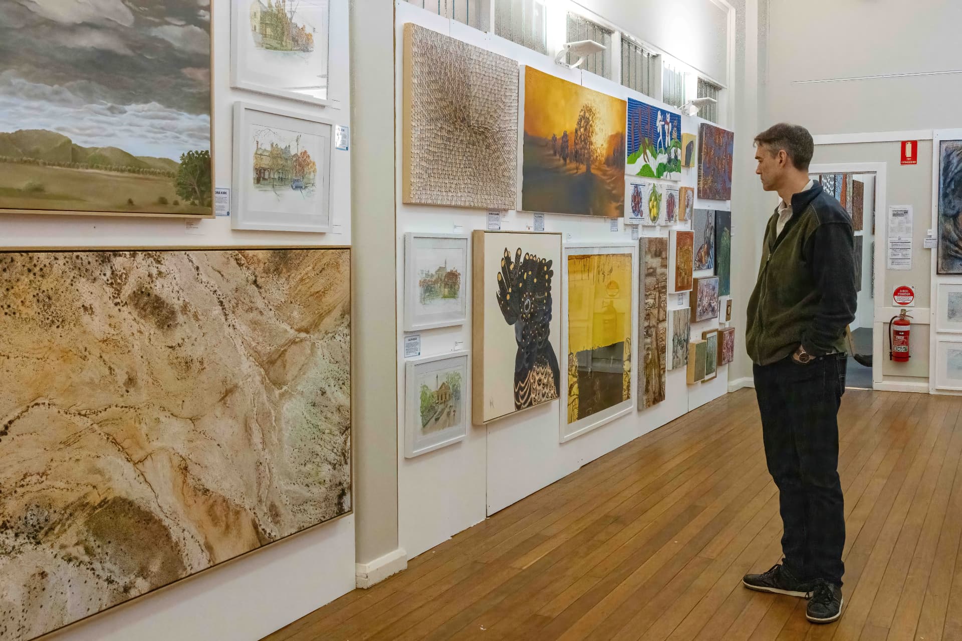 A man viewing artworks on the gallery wall at the show